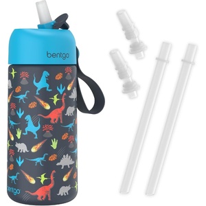 Bentgo Kids Stainless Steel Water Bottle and Replacement Straws Set (Dinosaur)