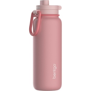 Bentgo Flip 2-in-1 Straw & Chug Leak-Proof Insulated Water Bottle, 24 fl oz | Premium 18/8 Stainless Steel,Triple-Layer Vacuum Insulation, 24-Hour Cold, BPA & PFAS-Free (Lilac Cloud)(Blushing)